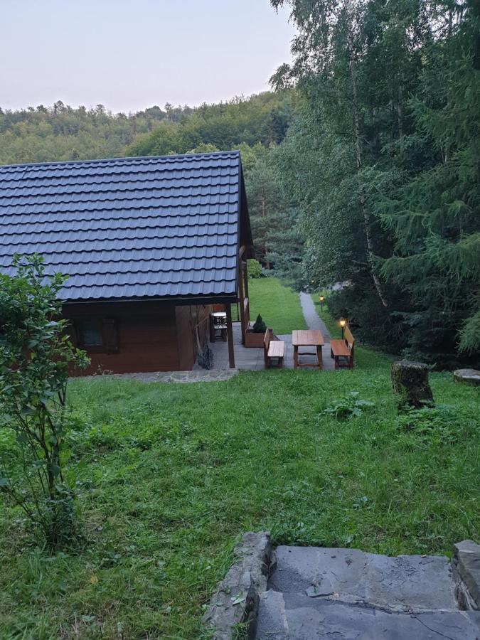 Domki Letniskowe Pod Lasem Koziniec Екстериор снимка